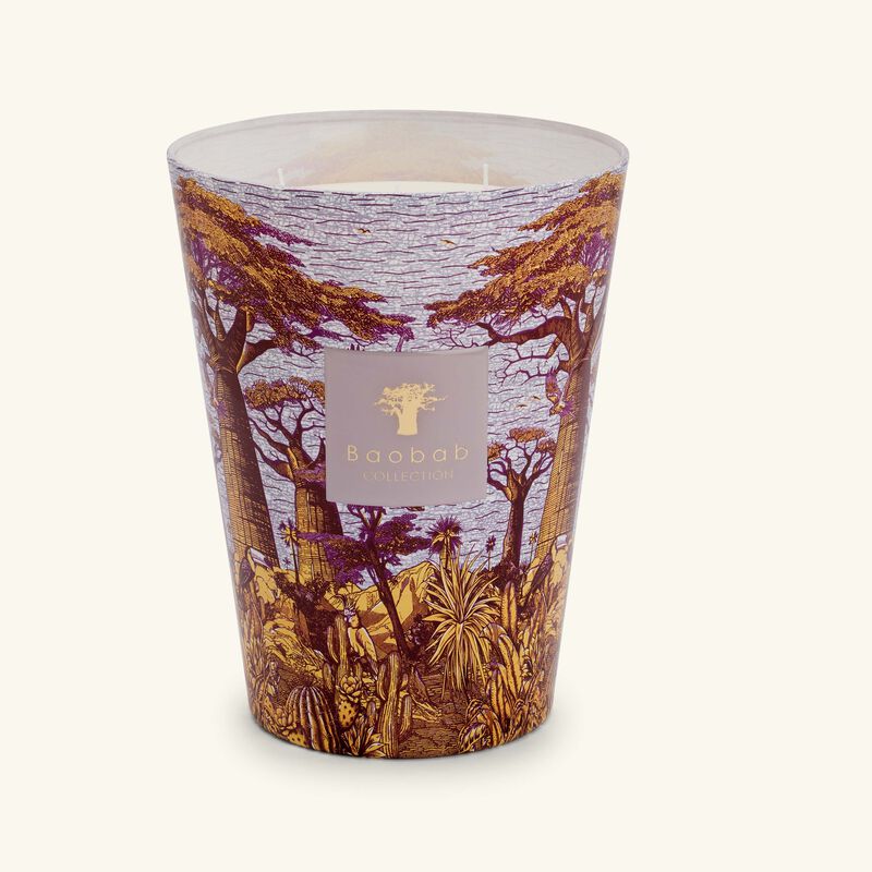 baobab collection sacred trees massasso candle max 24
