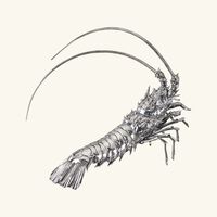 Marina Sailfish Lobster Sculpture Silver Large buccellati marina sailfish lobster sculpture silver large