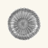 Poppy Flower Bowl Large Silver buccellati poppy flower bowl large silver