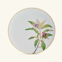 Jardin Indien Serving Platter Round Green 32cm bernardaud jardin indien serving platter round green 32cm