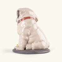lladro puppie pug sculpture medium white