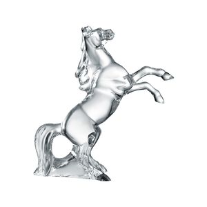 حصان مارينغو, medium