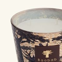 Sacred Trees Mankono Candle Max 10 baobab collection sacred trees mankono candle max 10