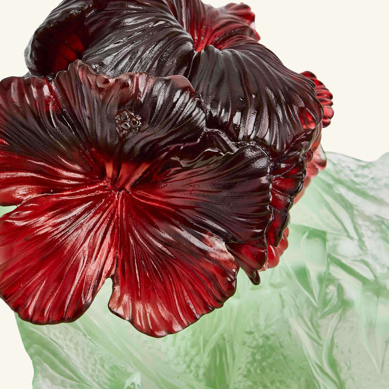 Hibiscus Centerpiece Green daum hibiscus centerpiece green