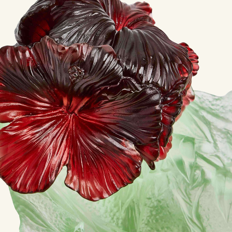 Hibiscus Centerpiece Green daum hibiscus centerpiece green