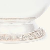 وعاء الصلصات مالميزون باللون الفضي كريستوفل وعاء الصلصات مالميزون باللون الفضي