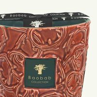 baobab collection brame artemis candle max 16