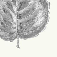 buccellati hazelnut leaf bowl small silver