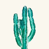 Cactus Sculpture Medium Green daum cactus sculpture medium green