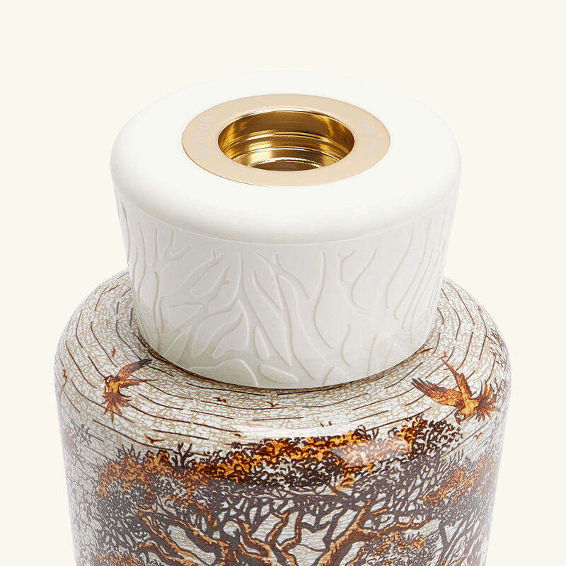 Sacred Trees Dualla Diffuser baobab collection sacred trees dualla diffuser