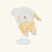 lladro abundance mudra sculpture medium white