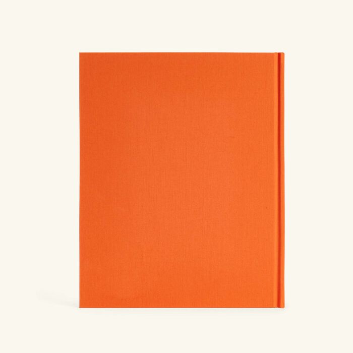 assouline new york by new york book 33x25cm