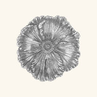 buccellati poppy flower bowl mini silver