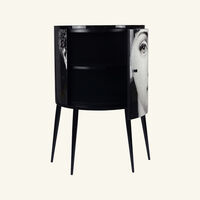 خزانة سيلينتسيو رمادية فورناسيتي خزانة سيلينتسيو رمادية