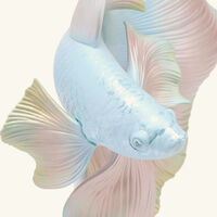 لادرو منحوتة على شكل سمكة بيتا من الجانب الأيمن متوسطة وردية