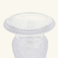 مزهرية فيرساي متوسطة شفافة لاليك مزهرية فيرساي متوسطة شفافة