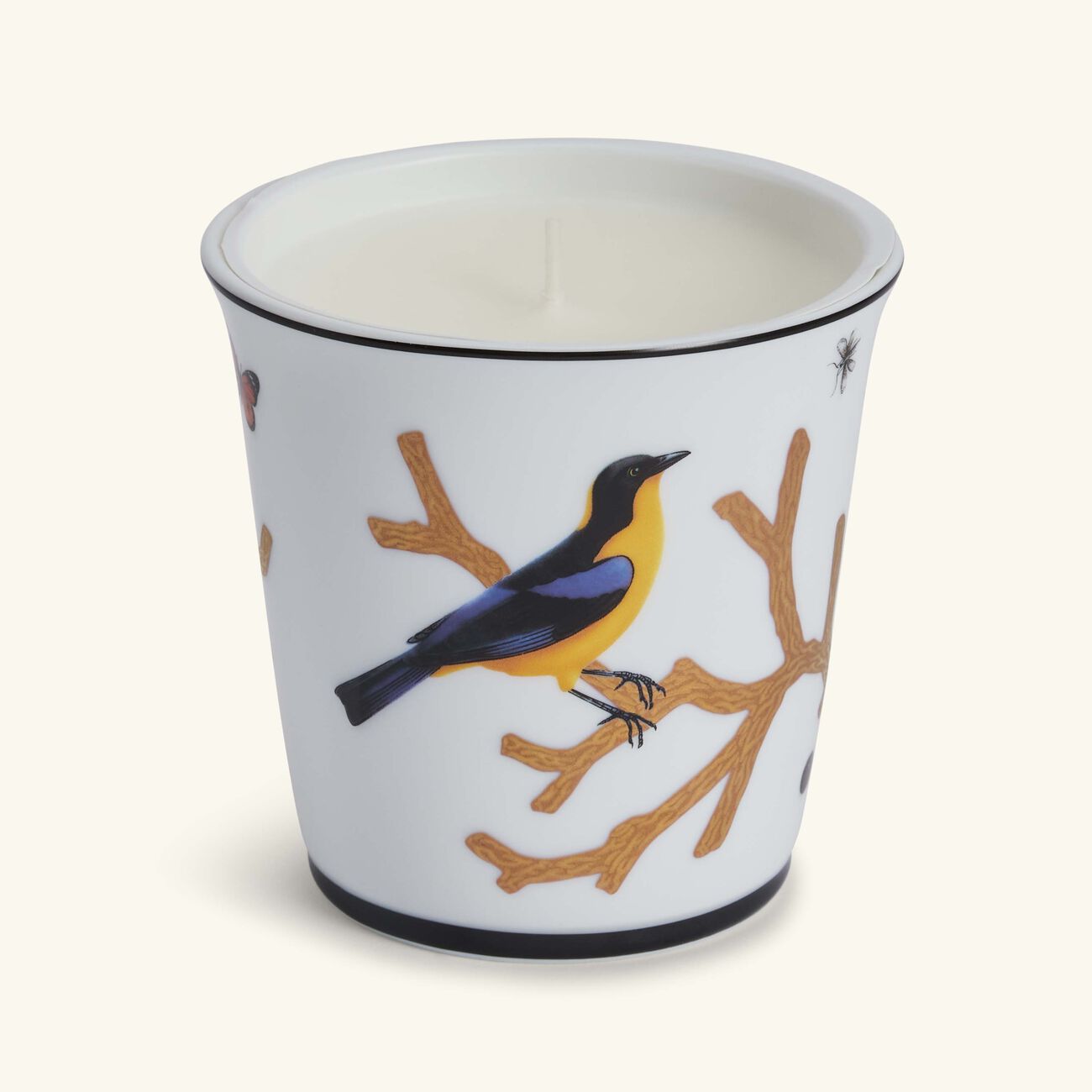 Aux Oiseaux Tumbler with Candle bernardaud aux oiseaux tumbler with candle