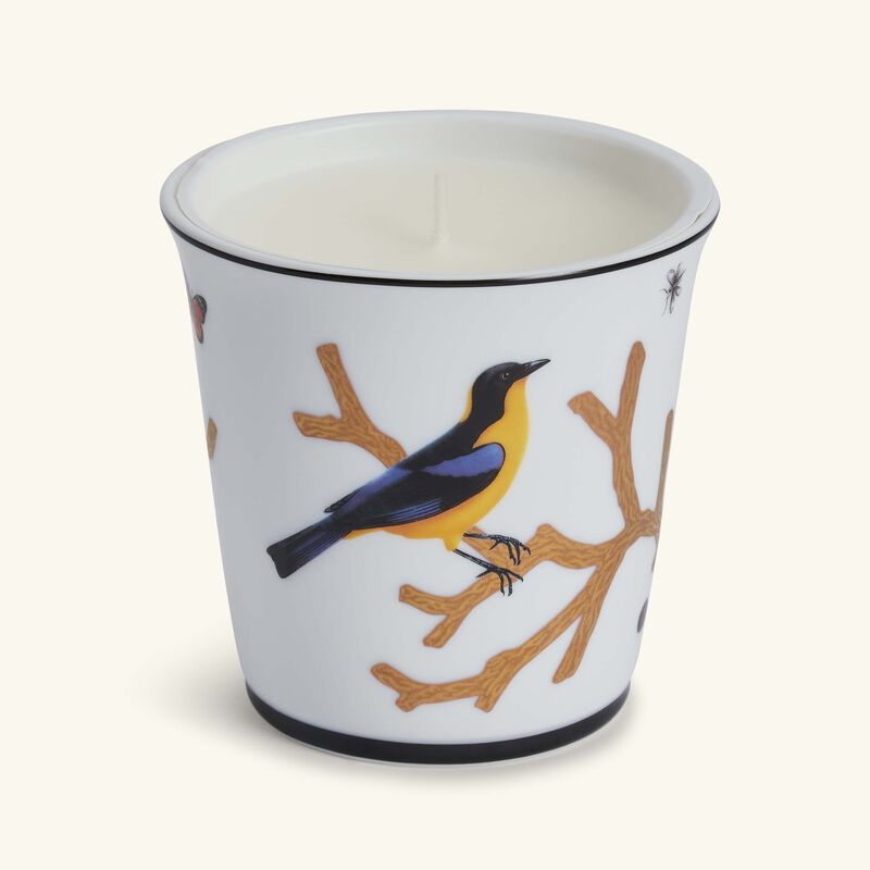 Aux Oiseaux Tumbler with Candle bernardaud aux oiseaux tumbler with candle