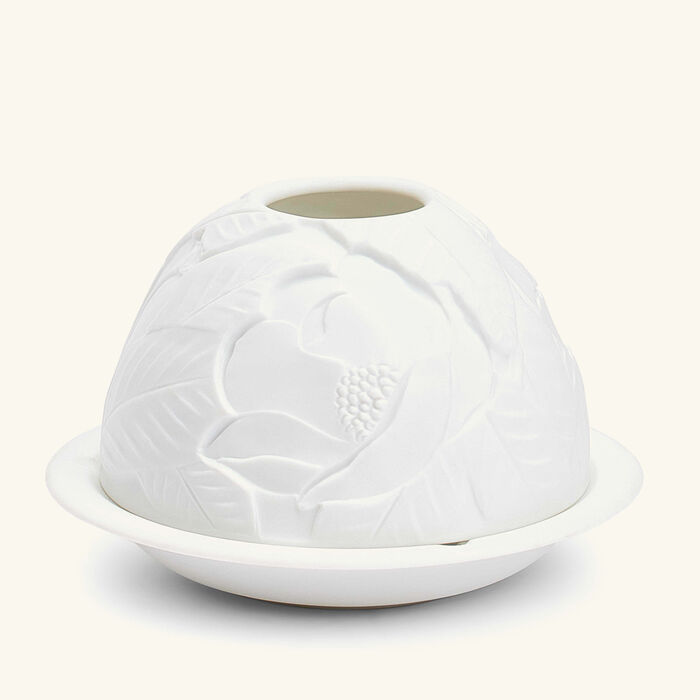 برناردو مصباح ليثوفاني بتصميم أزهار الماغنوليا