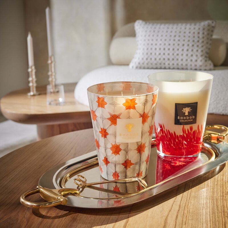 Odyssee Calypso Candle Max 24 baobab collection odyssee calypso candle max 24