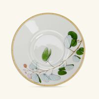 bernardaud jardin indien coffee cup   saucer white set of 4