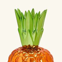 bernardaud victoria pineapple box orange