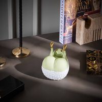 Haas Butts Up Box Green l objet haas butts up box green