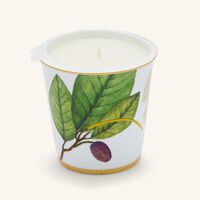 Jardin Indien Tumbler with Candle bernardaud jardin indien tumbler with candle
