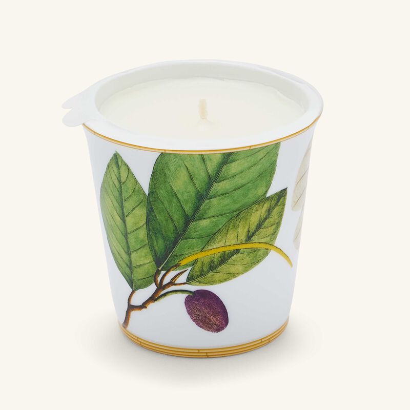Jardin Indien Tumbler with Candle bernardaud jardin indien tumbler with candle