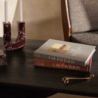 آسولين كتاب جناح الإمارات  موطن الحلم والإنجاز 28x35 سم