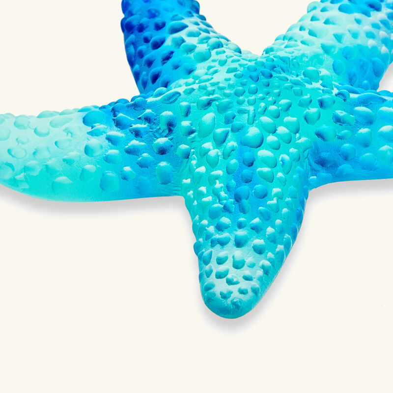 Mer de Corail Starfish Figurine Mini Blue daum mer de corail starfish figurine mini blue