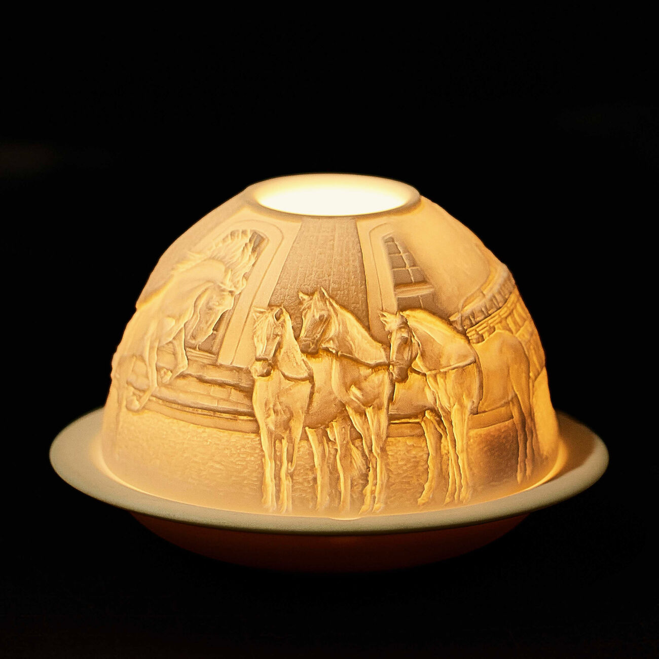 برناردو مصباح ليثوفاني ريفيسري إكويستر