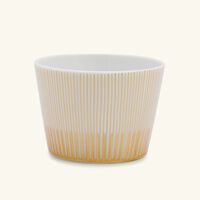 bernardaud sol drinking glass