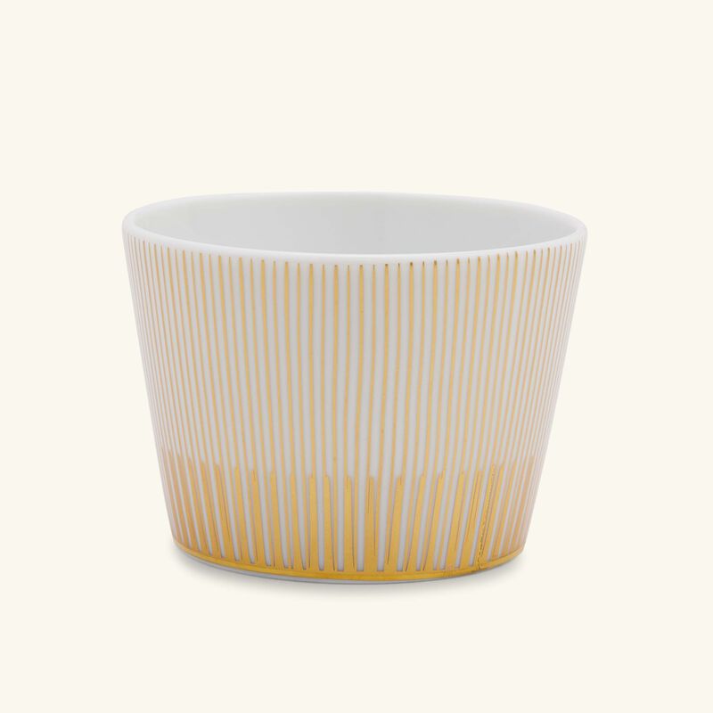 bernardaud sol drinking glass