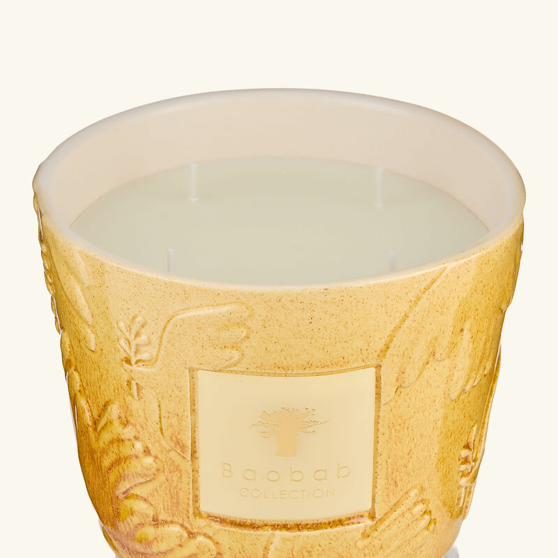 baobab collection dove candles max 10