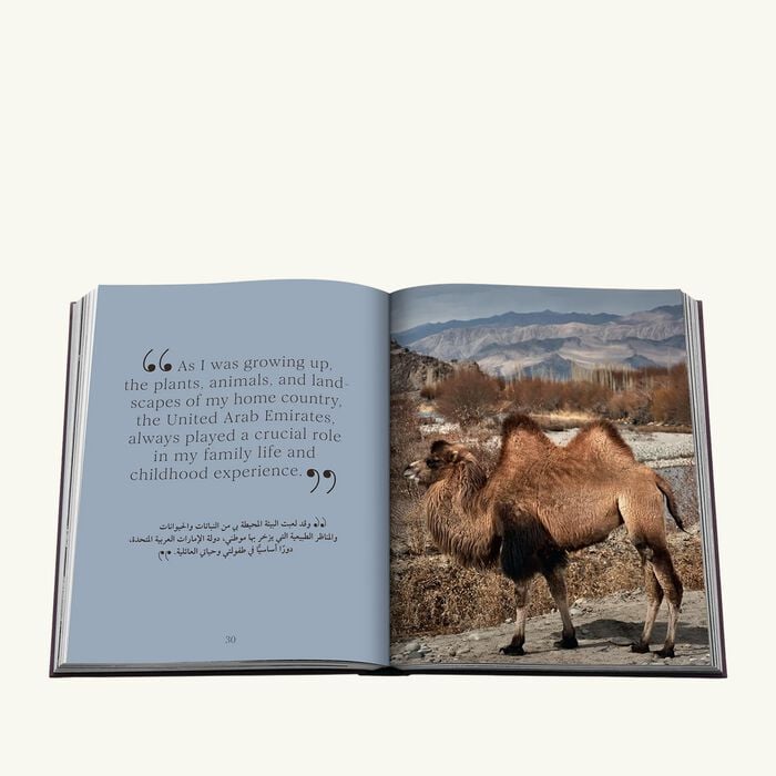 Ode To A Camel English and Arabic Book 36x28cm assouline ode to a camel english and arabic book 36x28cm
