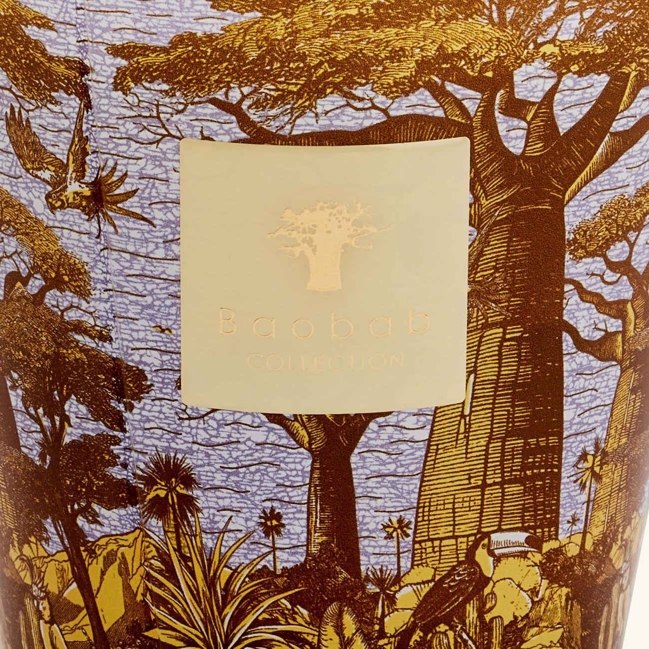 Sacred Trees Cocody Candle Max 16 baobab collection sacred trees cocody candle max 16
