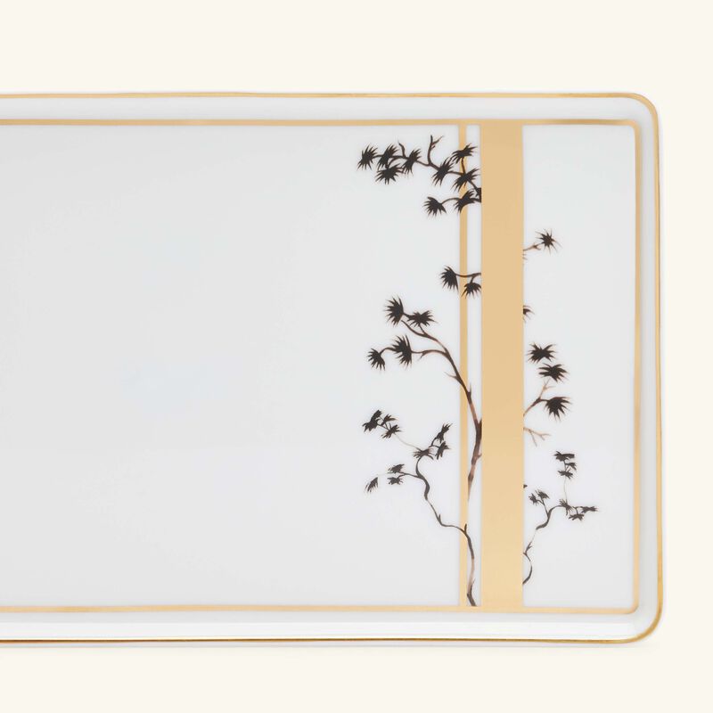 بينتو باريس طبق كيوتو مستطيل بنقشة شريط بحجم كبير باللون الذهبي