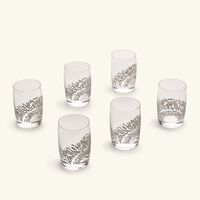 Qamar Short Tumbler Clear Set of 6 dimlaj qamar short tumbler clear set of 6