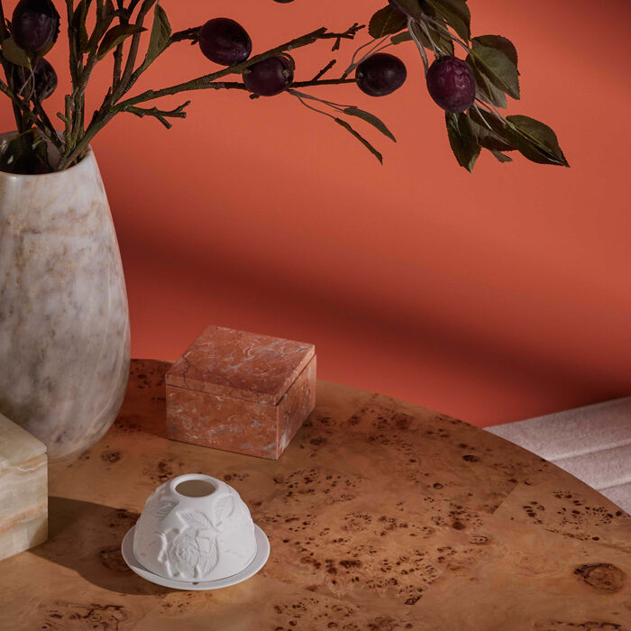 برناردو مصباح ليثوفاني جاردينيا فلاور