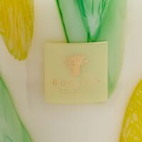 باوباب شمعة ريفييرا سانتو سوسبير ماكس 35