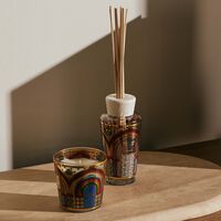 My First Baobab Cities Marrakech Gift Set baobab collection my first baobab cities marrakech gift set