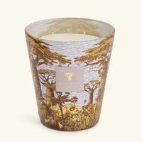 baobab collection sacred trees boukani candle max 16