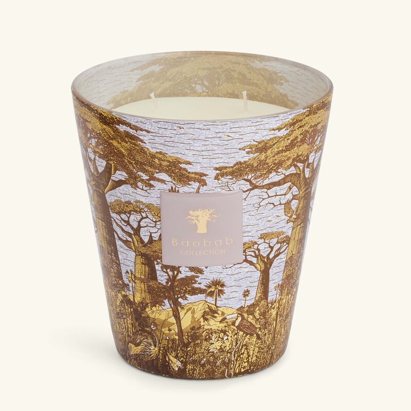 baobab collection sacred trees boukani candle max 16