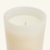 ترودون الشمعة المعطرة هيميرا 270 جرام