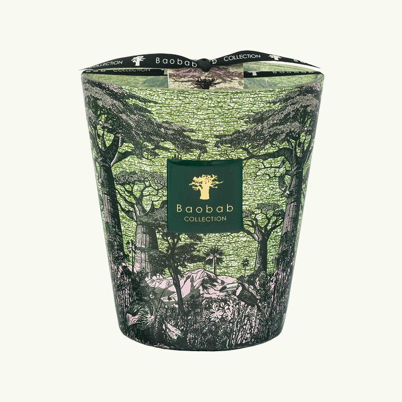 baobab collection sacred trees touba candle max 16