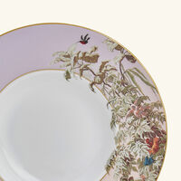 haviland le br sil soup plate 28cm