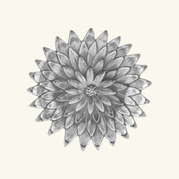 Anemone Flower Bowl Medium Silver buccellati anemone flower bowl medium silver