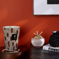 باوباب شمعة ماكسي واكس بانيا ماكس 24