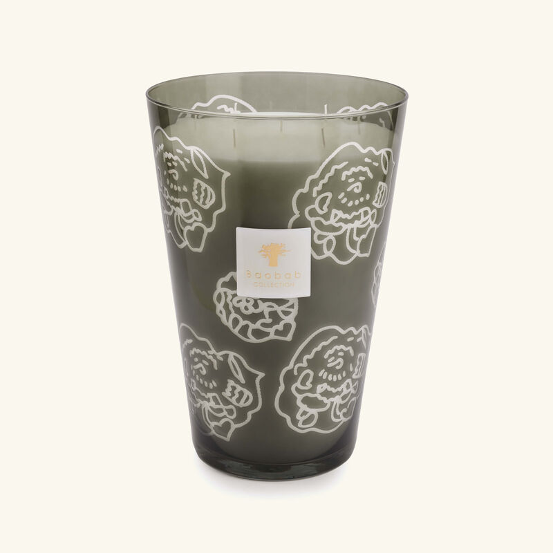 baobab collection collectible roses grey candle maxi max
